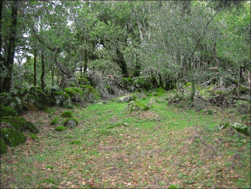 2005-01-29 Burdell (02) hidden summit